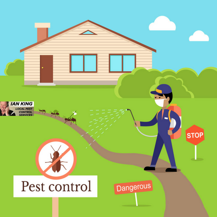 Health and Safety Considerations in Pest Control