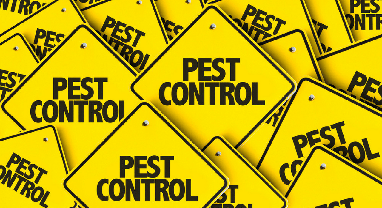debunking pest control misconceptions