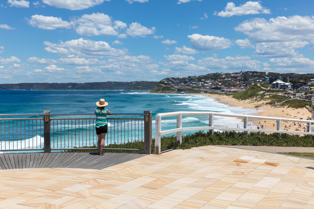 Merewether Pest Control and Termite Treatment -