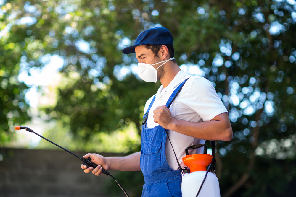 Newcastle Pest Control and Termite Treatment -