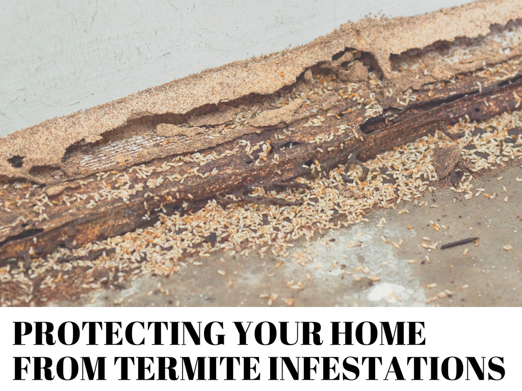 Protecting your home from termite infestations